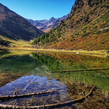 Martinshof Ladis Inklusive Super Sommercard Sommerseilbahnticket Dış mekan fotoğraf