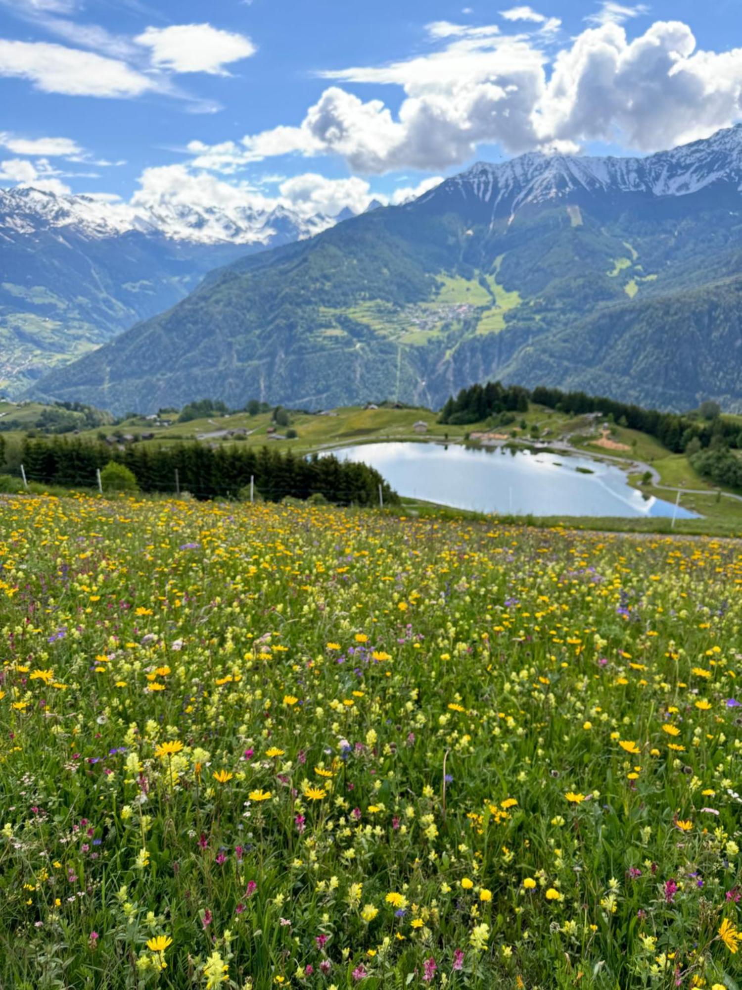 Martinshof Ladis Inklusive Super Sommercard Sommerseilbahnticket Dış mekan fotoğraf